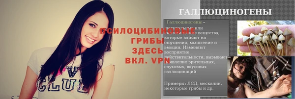 MESCALINE Новодвинск