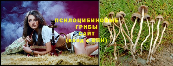 MESCALINE Новодвинск
