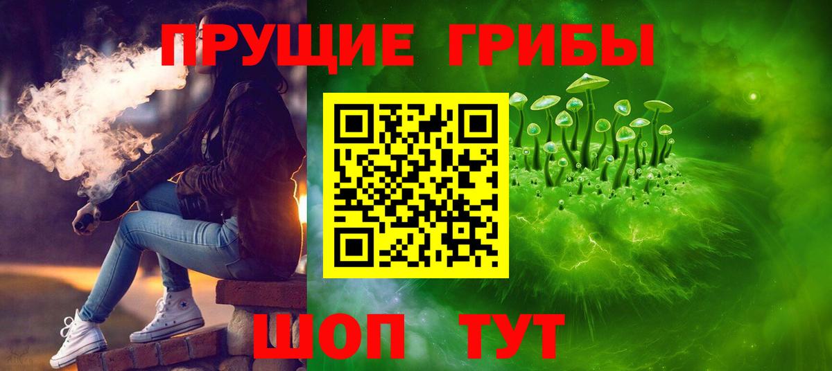 Воронеж  Галлюциногенные грибы Psilocybe  дарнет шоп  Вход с VPN 